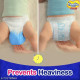 MamyPoko Pants Standard D