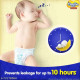 MamyPoko Pants Standard D