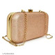 Styles latest women clutc