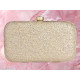 FANCY TRENDY WOMEN BOX CL